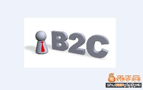 B2C電商怎么突出重圍1