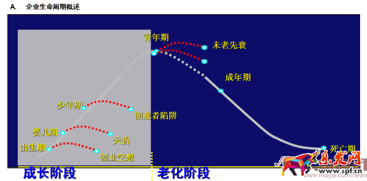 四步讓你掌握數據運營的核心之四率運營！