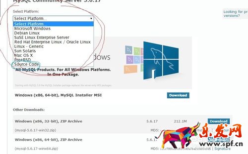 MySQL下載安裝、配置與使用（win7x64）