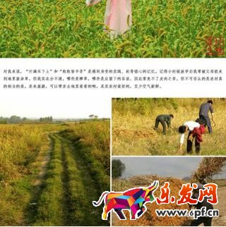 淘寶店經歷