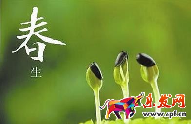 網(wǎng)店裝修