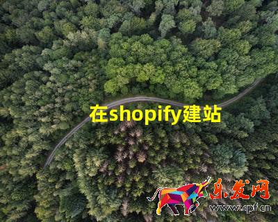 在shopify建站需要多少錢?費用成本高嗎?