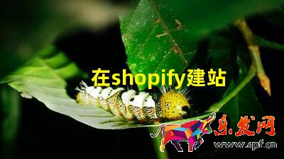 在shopify建站需要多少錢?費用成本高嗎?