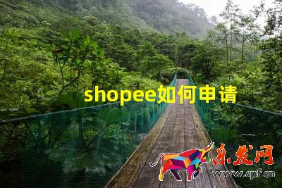 shopee如何申請(qǐng)菲律賓本土店鋪?shopee菲律賓開店教程