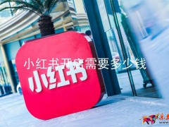 小紅書開店需要多少錢?解析小紅書開店的費用支出