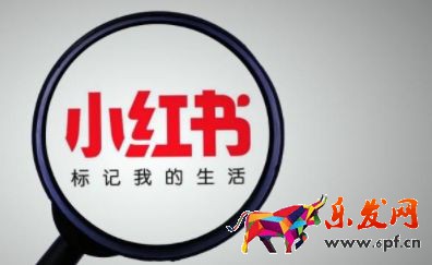 2023小紅書店鋪入駐條件及收費標準分享