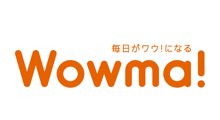 日本電商平臺有哪些(10大日本購物網站排行)